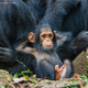 Illustration for article titled Slide Into the Weekend With the Most Hilarious Wildlife Photos of 2019